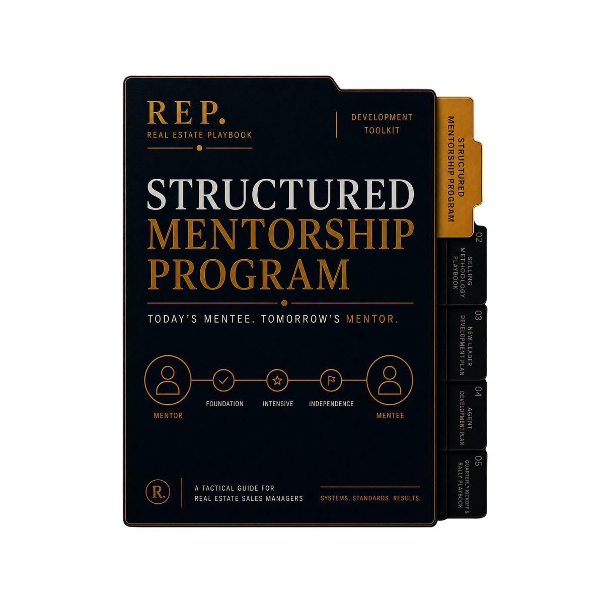 Structured Mentorship Program
